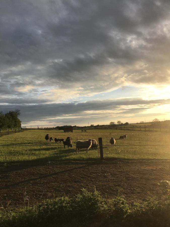 Nordgården - ferie på landet Lägenhet Skibby Exteriör bild